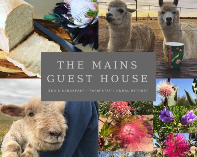 The Mains Guest House 2 Bedroom Farm Stay Corrigin Ngoại thất bức ảnh